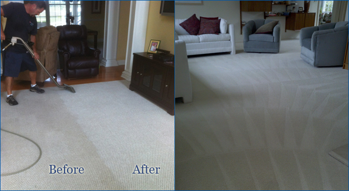 carpet cleaning lewes